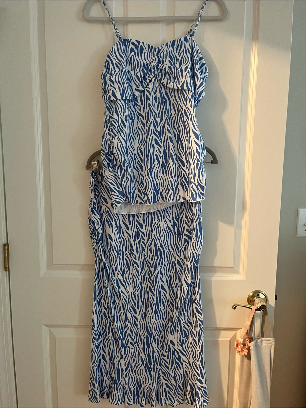 Diane Von Furstenberg Blue and White Zebra-Print Dress